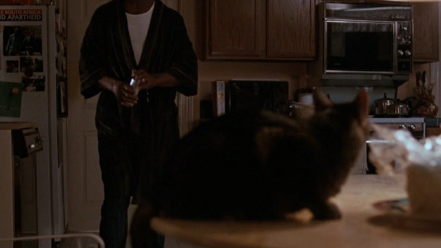 Lethal Weapon - tabby cat Burbank on table beside birthday cake