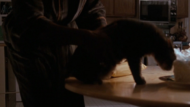 Lethal Weapon - tabby cat Burbank being picked up from table with birthday cake