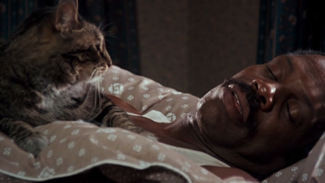 Lethal Weapon - tabby cat Burbank sitting on top of sleeping Murtaugh Danny Glover