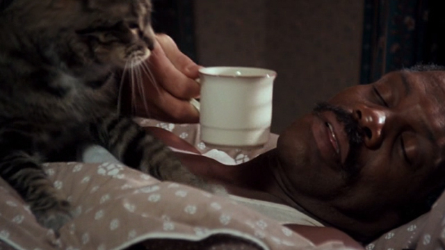 Lethal Weapon - tabby cat Burbank getting up from sleeping Murtaugh Danny Glover with hand and coffee reaching in