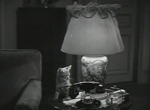 A Letter for Evie - kitten Homer sitting by phone