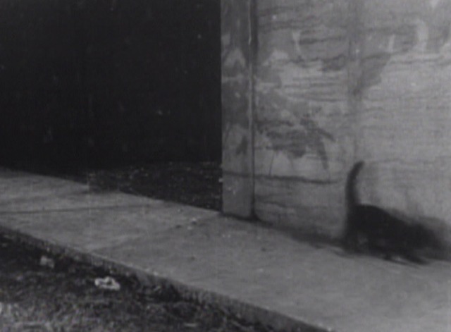 Laurel-Hardy Habeus Corpus cat 1