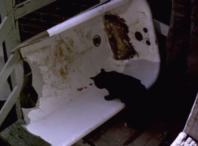 Lies My Father Told Me - black cat eating meat scraps in half of a bathtub