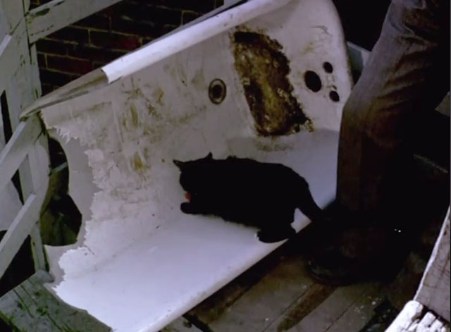 Lies My Father Told Me - black cat eating meat scraps in half of a bathtub