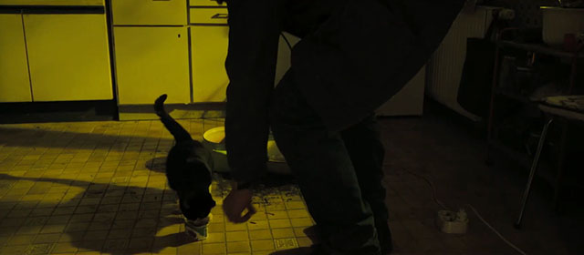 Life Eternal - Das ewige Leben - Brenner setting down tin of meat for tuxedo cat Erika