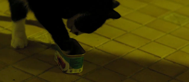 Life Eternal - Das ewige Leben - tuxedo cat Erika pawing at tin of food on floor