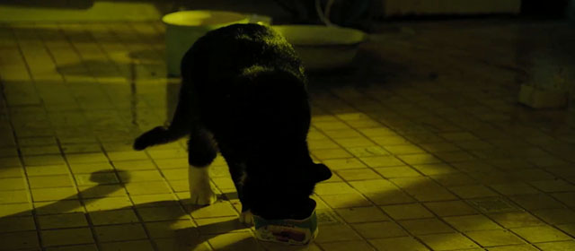 Life Eternal - Das ewige Leben - tuxedo cat Erika with face in tin of food