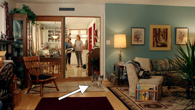 The Lifeguard - calico cat Moose entering Leigh's parents home with Kristen Bell and Amy Madigan