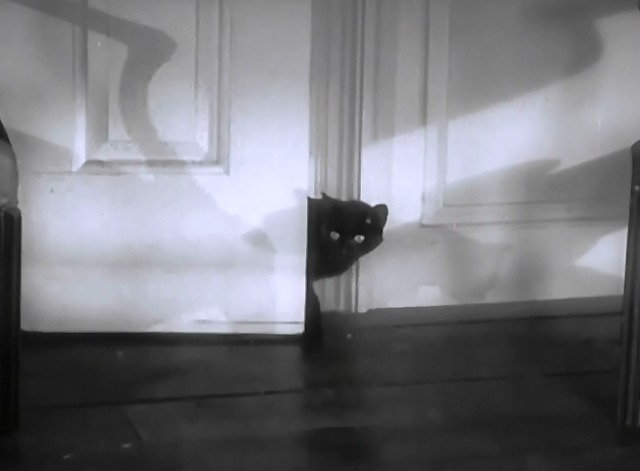 Lightning Strikes Twice - black cat Harriette peeking into room