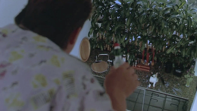 Like Father, Like Son - calico cat Seymour looking up at Trigger Sean Astin