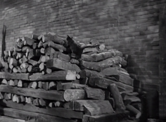 Liliom - black cat running over woodpile