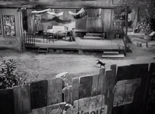 Liliom - black cat running across yard away from Liliom Charles Boyer