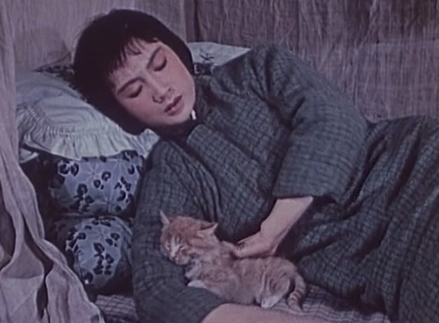 The Lin Family Shop - Lin teenaged daughter lying on bed pushing long-haired kitten away