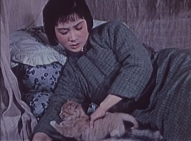 The Lin Family Shop - Lin teenaged daughter lying on bed pushing long-haired kitten away