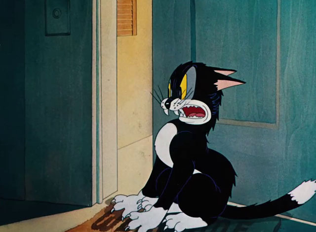 Little Brother Rat - cartoon black and white cat on porch looking angry