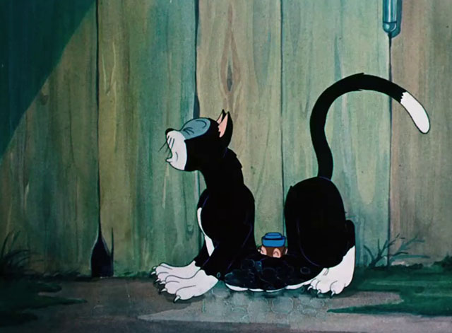 Little Brother Rat - cartoon black and white cat bent in middle as mouse Sniffles falls on him