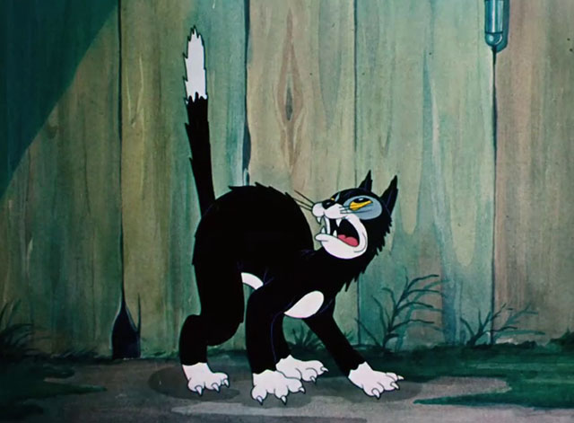 Little Brother Rat - cartoon black and white cat looking up angrily