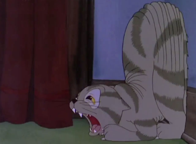 Little Cheeser - cartoon grey tabby cat smashed into wall