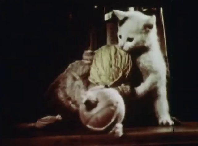 Little Kitten - white kitten with black markings playing with ball of yarn with twine cat puppet