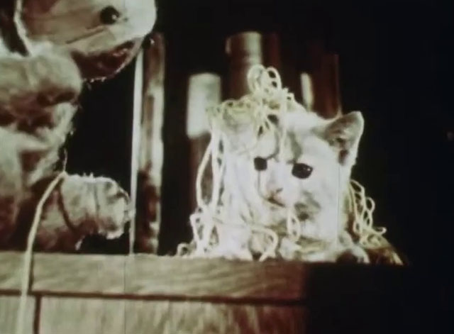 Little Kitten - white kitten with black markings covered with yarn with twine cat puppet