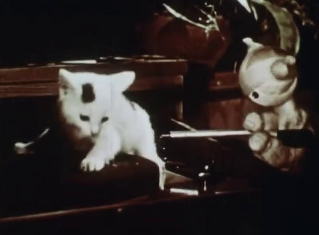 Little Kitten - white kitten with black markings on record player turntable with twine cat puppet