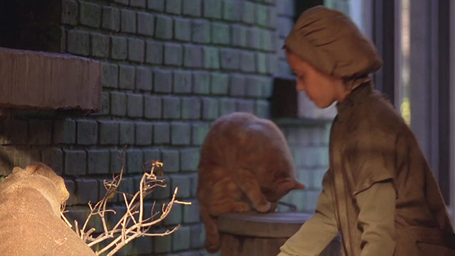 A Little Princess - ginger tabby cat preening behing Sara Liesel Matthews in alley