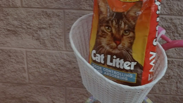 Little Secrets - cat litter bag in bicycle basket