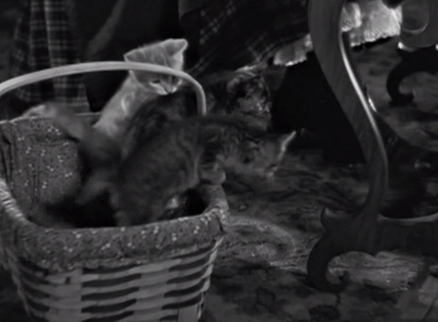 Little Women - kittens in basket by piano pedals