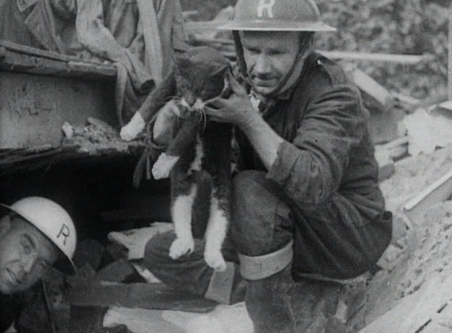 London Can Take It! - gray and white cat being rescued from destroyed building by air raid wardens