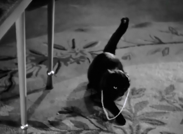 The Lone Wolf Takes a Chance - pearl necklace falling around black cat's neck