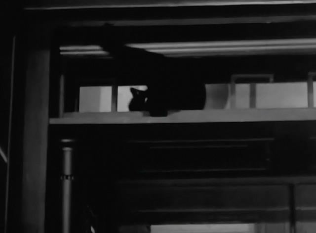 The Lone Wolf Takes a Chance - black cat wearing pearl necklace climbing into bank