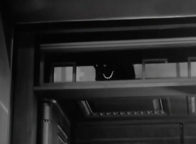 The Lone Wolf Takes a Chance - black cat wearing pearl necklace climbing out of bank