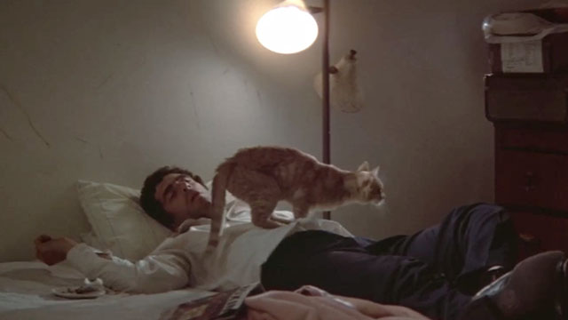 The Long Goodbye - ginger tabby cat on Philip Marlowe Elliot Gould lying on bed