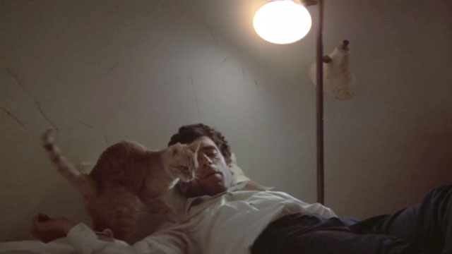 The Long Goodbye - ginger tabby cat with Philip Marlowe Elliot Gould lying on bed