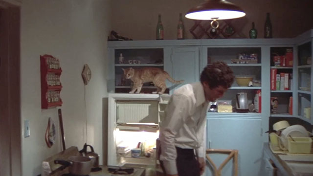 The Long Goodbye - ginger tabby cat on refrigerator behind Philip Marlowe Elliot Gould lying on bed