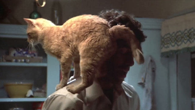 The Long Goodbye - ginger tabby cat on Philip Marlowe Elliot Gould's shoulder