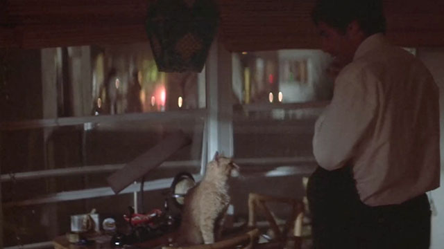 The Long Goodbye - ginger tabby cat looking at Philip Marlowe Elliot Gould