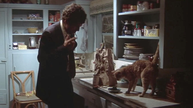 The Long Goodbye - ginger tabby cat eyeing plate of cat food with Philip Marlowe Elliot Gould