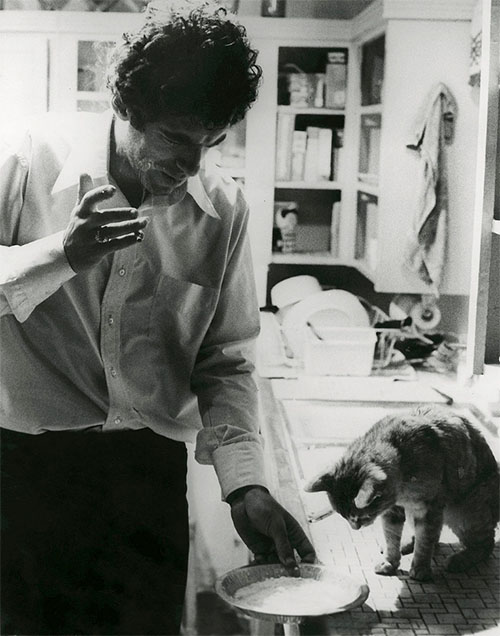 The Long Goodbye - ginger tabby cat being fed by Philip Marlowe Elliot Gould