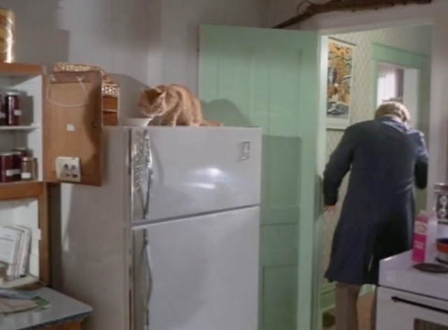 Lost and Found - Tricia Glenda Jackson walking past ginger tabby cat on refrigerator