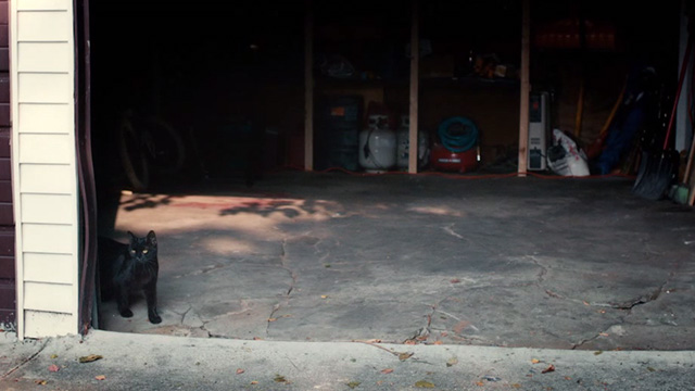 Lost Cat Corona - black cat Leonard inside garage