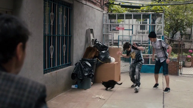 Lost Cat Corona - black cat Leonard runs for cover after Dominic fires gun