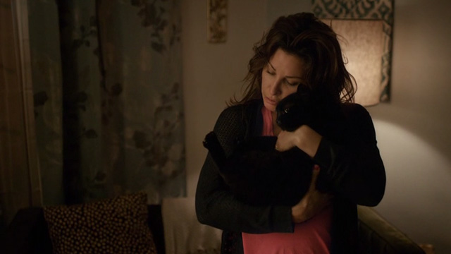 Lost Cat Corona - black cat Leonard being hugged by Connie Gina Gershon