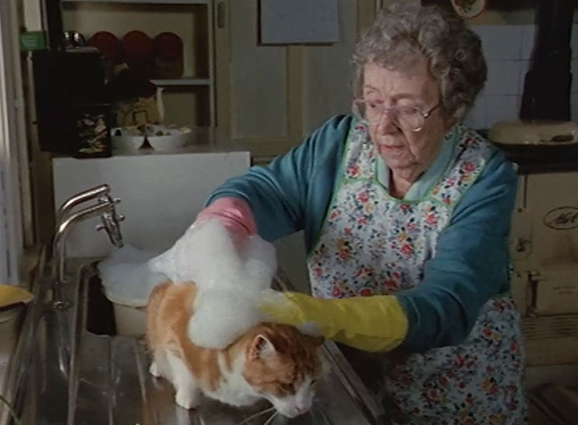 Lost for Words - Mrs. Longden Thora Hird washing ginger and white tabby cat Whiskey