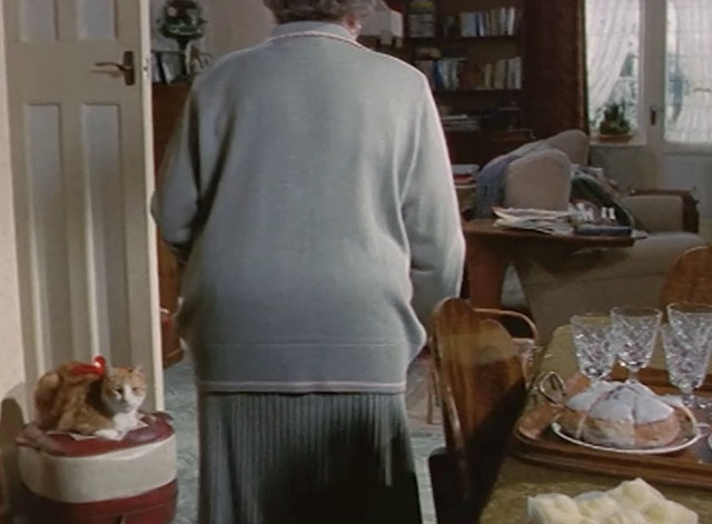 Lost for Words - ginger and white tabby cat Whiskey wearing red ribbon