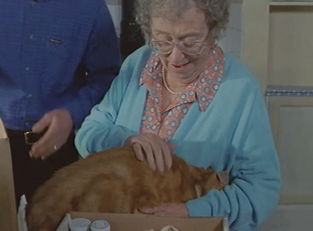 Lost for Words - Mrs. Longden Thora Hird with ginger and white tabby cat Whiskey