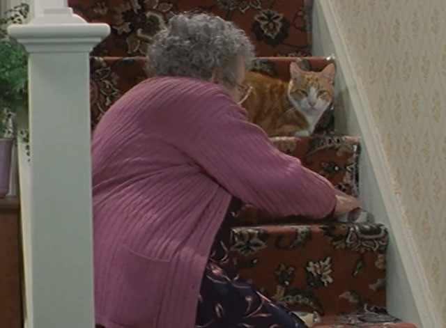 Lost for Words - Mrs. Longden Thora Hird with ginger and white tabby cat Whiskey on stairway