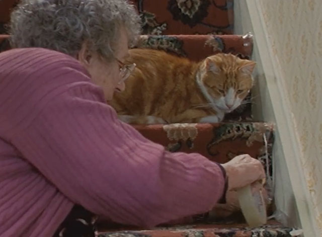 Lost for Words - Mrs. Longden Thora Hird with ginger and white tabby cat Whiskey on stairway