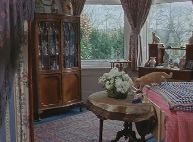 Lost for Words - ginger and white tabby kitten running across bed