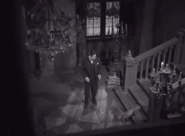 The Lost Moment - Venable Robert Cummings watching tabby cat walking up stairs